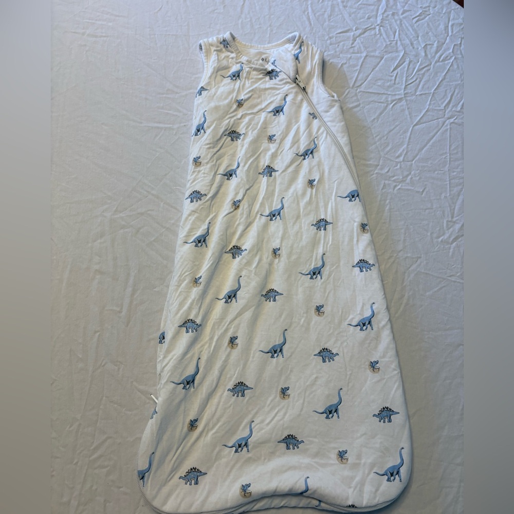 Kyte BABY Blue Dinosaur Sleep Sack
